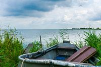 Altes Ruderboot im Schilf