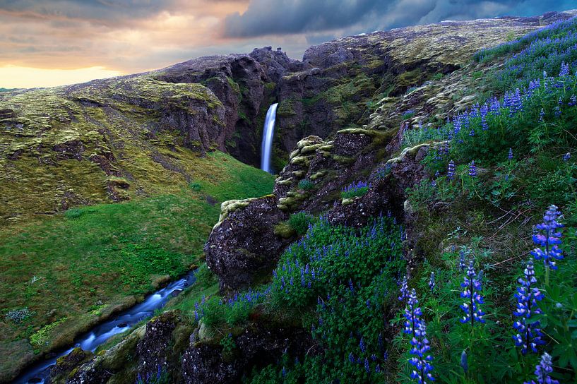 Die Wiege der Einhörner  von Vincent Xeridat