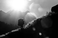 Harte Arbeiter in Nepal heben schwere Heuballen