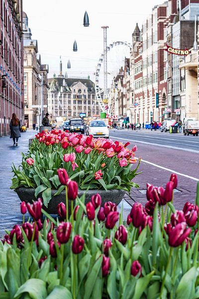 Amsterdam Damrak von Ali Celik