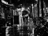 Steps in the rain on the Slotlaan in Zeist