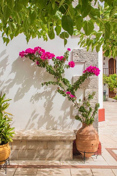 Rosa Blumen auf Lefkas, Griechenland von Bianca Kramer