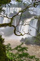 Iguazu falls