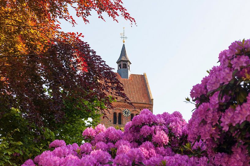 St John's Church with rhododendron blossom, Bad Zwischenahn by Torsten Krüger