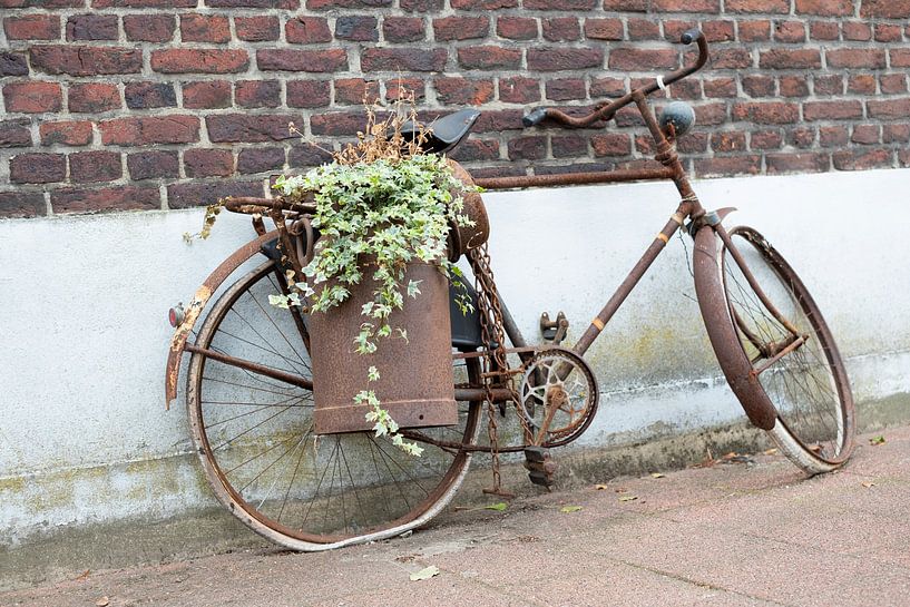 Art or not by Sense Photography