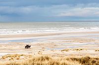 Horses on the beach near Hoorn (Terschelling)