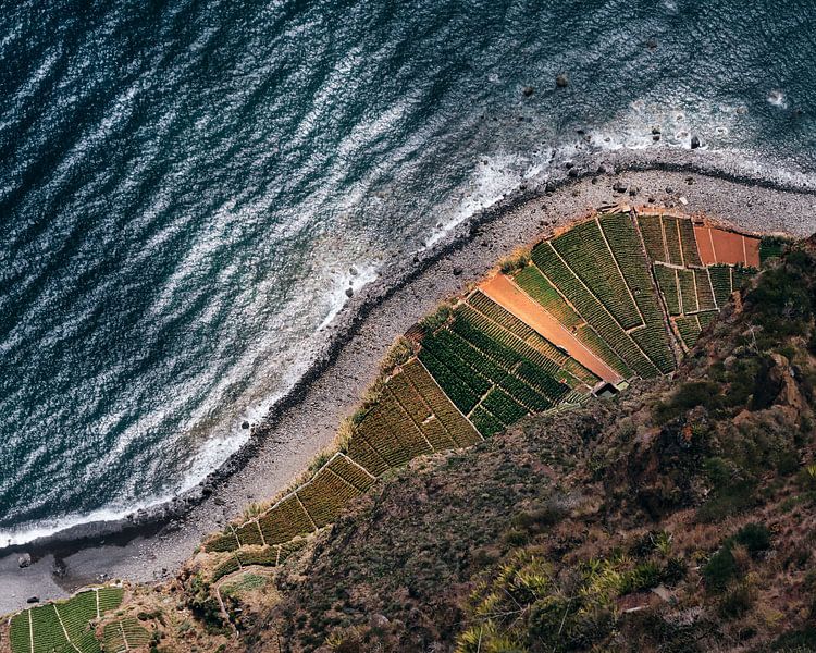 Madeira von Marvin Schweer