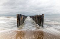 Bewegung auf dem Seeweg