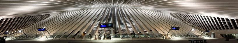 Panorama van Station Luik-Guillemins by Photography by Karim