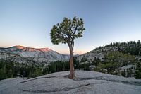 Lebhafte Mondlandschaft