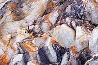 Capricorn camouflage