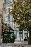 The streets of Paris