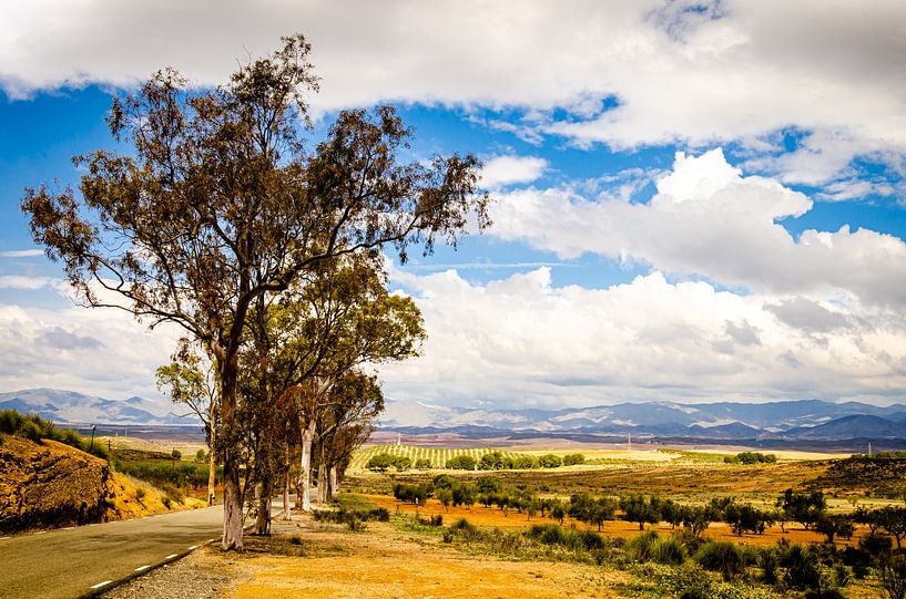 Landstrasse mit Bewölkung in der Sierra Alhamilla in Andalusien Spanien von Dieter Walther