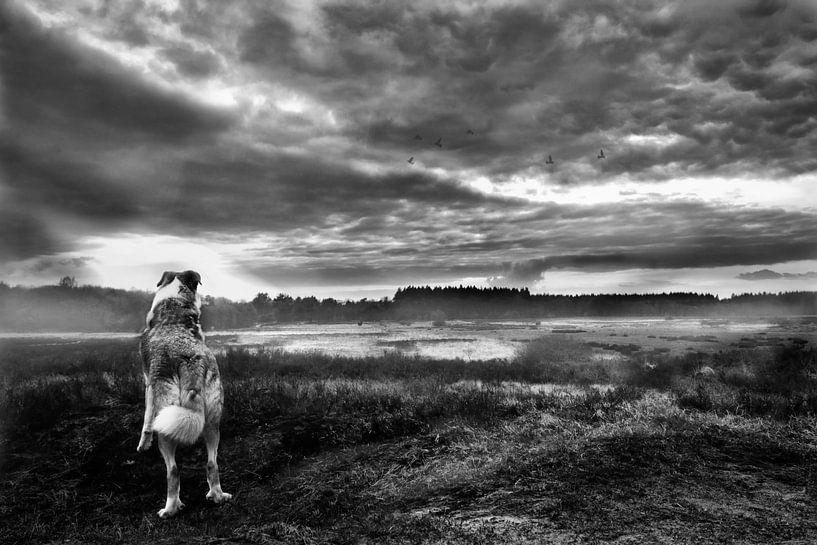 'Wuthering Heights'  par Studio Nooks