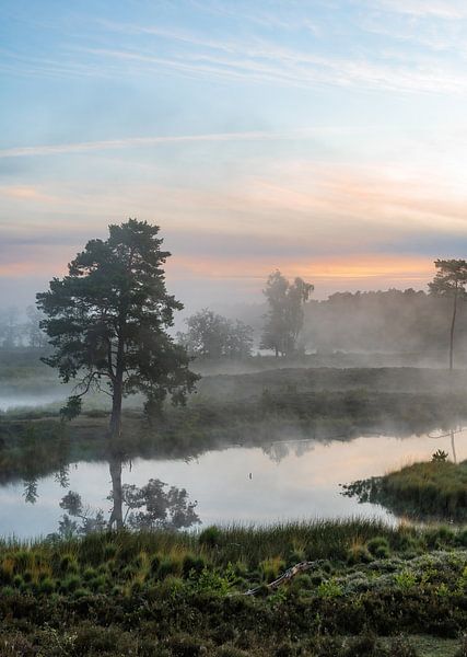 Hatertse en Overasseltse vennen part 19 par Tania Perneel