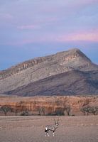 Oryx mit pastellfarbenem Hintergrund