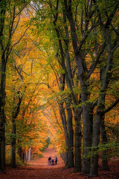Time for a walk! by Verliefd op Utrecht