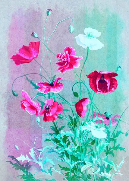 Pavot Pop Art par FRESH Fine Art