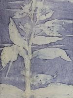 Ecoprint de plantes sauvages