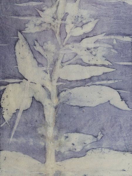 Ecoprint de plantes sauvages par Liesbeth Bulk