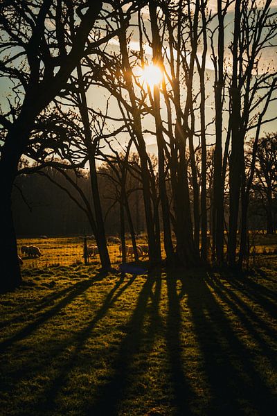 Bruges pittoresque par Geert Van Baelen