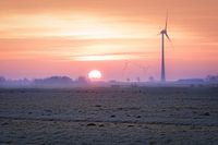 sunrise over the meadow