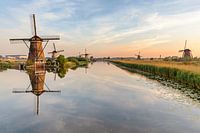 Windmühlen in Kinderdijk kurz nach Sonnenaufgang