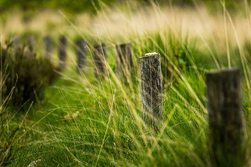 Op Een Rij von Vincent van den Hurk