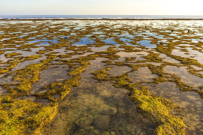Au bout de la route par Martijn Stoppels
