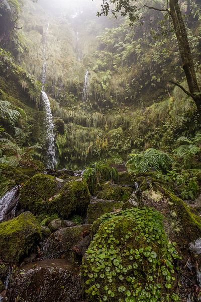 The green waterfalls von Thijs Kupers