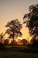 Sonnenuntergang in Münster Gievenbeck