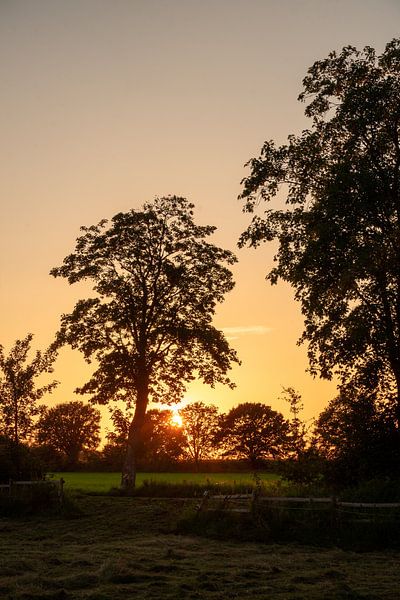 Sonnenuntergang in Münster Gievenbeck von Thorsten Wind
