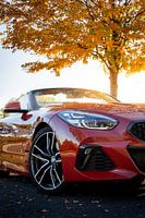 Ein BMW Z4 in Herbstfarben