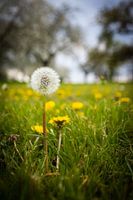 Can you hold on? Or will the wind blow me away?