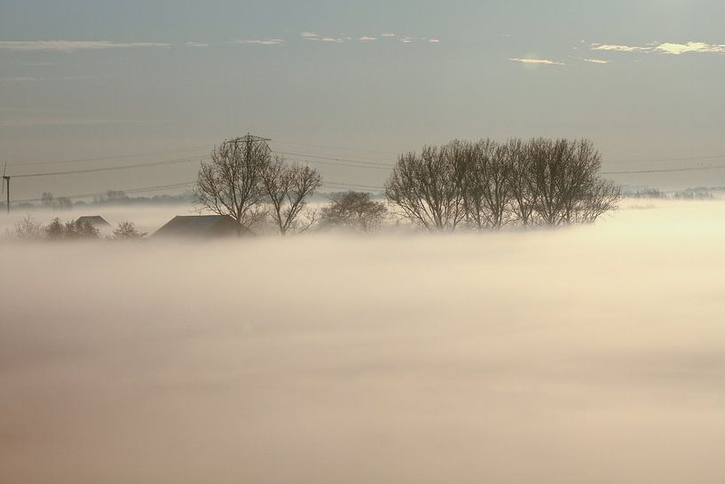 Landschaft mit einer Nebelbedeckung am frühen Morgen von Abra van Vossen