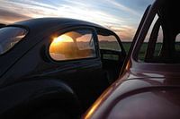 Cimetière de voitures / Décharge de voitures Volkswagen Beetle