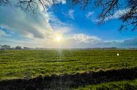 early spring. (after the snow comes the sun) HDR