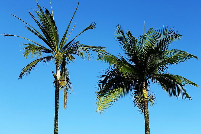 Hellblauer Himmel II von Walljar