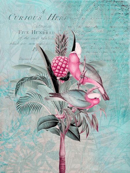 Sittiche im tropischen Regenwald von Andrea Haase