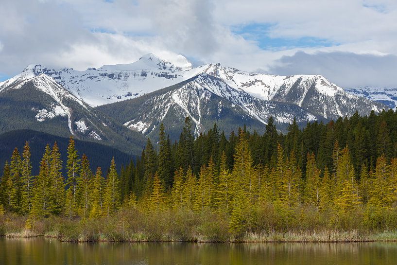 Canada by Menno Schaefer