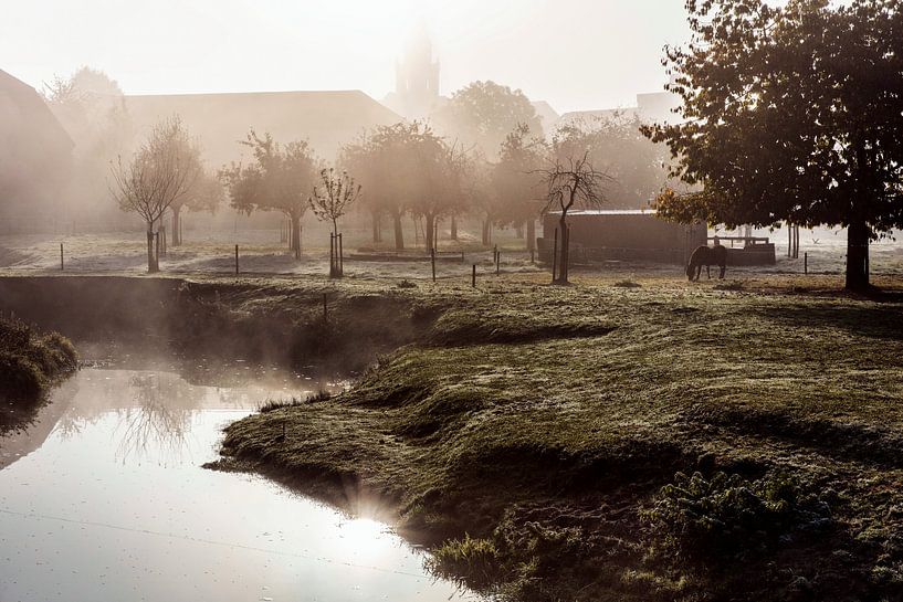 Nebel @ Wassermühle Wijlre von Rob Boon