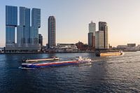 View of the Kop van Zuid (2:3)
