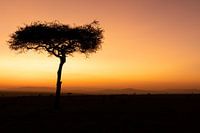 Sonnenaufgang in Afrika.