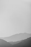 Foggy lines (black and white)