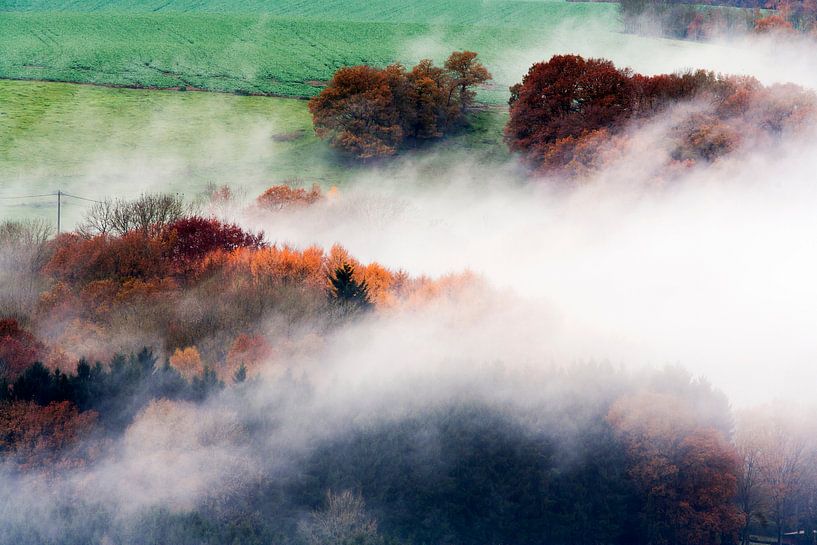Luchtfoto van mistige bossen in herfst kleuren van Peter de Kievith Fotografie