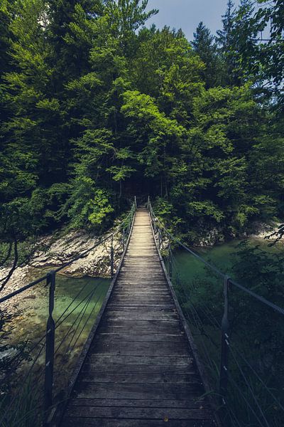Simple suspension bridge over river Idrijca, Slovenia by Patrik Lovrin