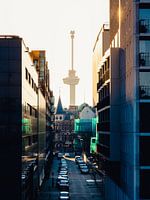 Euromast in evening light (4:3)