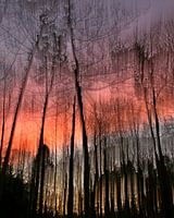 color palette of the setting sun