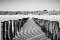 Poteaux de la plage de Flessingue en perspective rythmée en noir et blanc