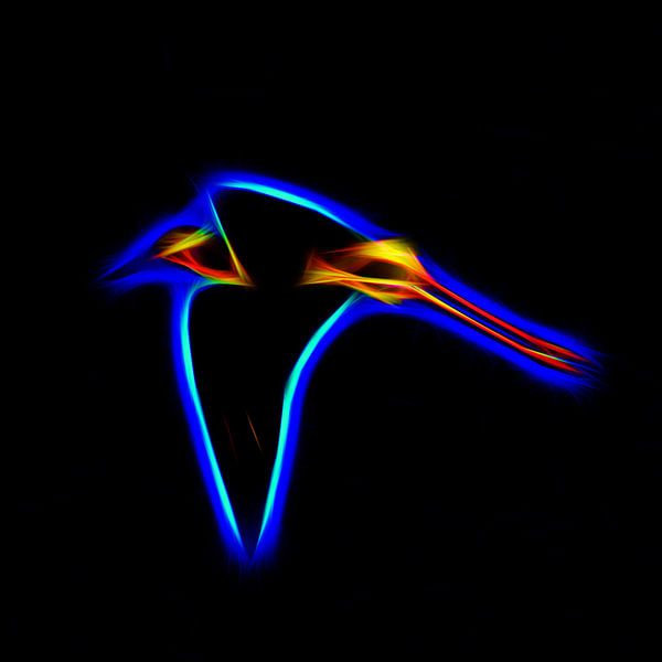 Flug aus Licht von Henryk Rybak